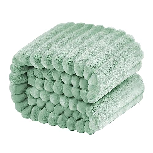 NTBAY Plush Flannel Twin Bed Blanket, 60x80 Inches Soft and Warm Lightweight Bed Blanket with Striped Texture for Couch, Sofa, All Seasons, Mint