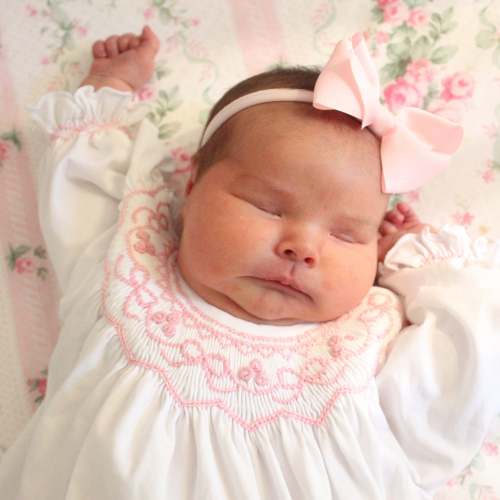 Smocked Bows Day Gown – Little Bear Smocks
