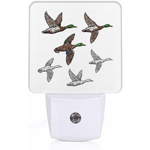 LED Night Light Plug into Wall with Dusk to Dawn Light Sensor White Energy Efficient Duck Mallard Wild Bird Nightlight for Bedroom Bathroom Hallway Living Room Kitchen