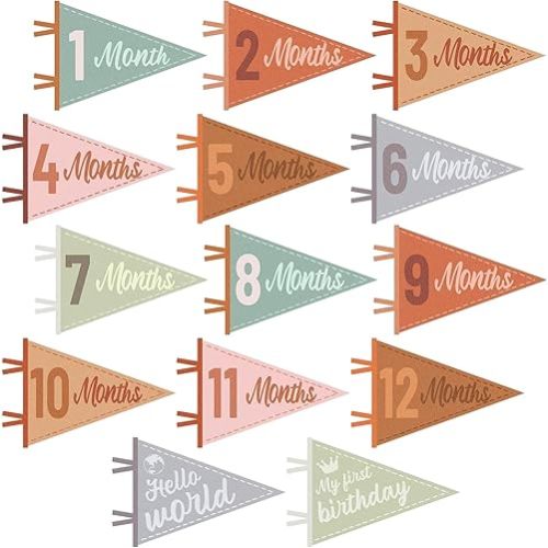 Milestone Pennants, 14 Pcs Baby Monthly Milestone Signs for Baby Girl & Boy, Newborn Photography Props & Decor, Felt Pennant Flags, Perfect Baby Shower Gifts