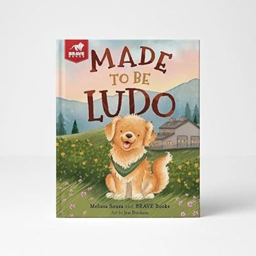 Made to be Ludo