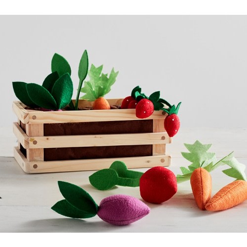 Soft Veggie Garden Set