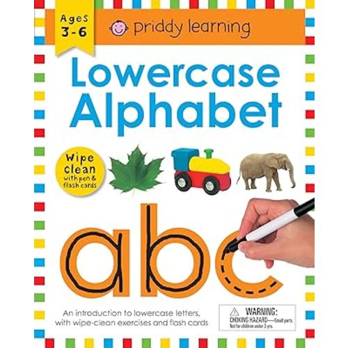 Lowercase Alphabet (Wipe Clean Workbook): An Introduction to Lowercase Letters with Practical Exercises To Do Again and Again (Wipe Clean Learning Books)