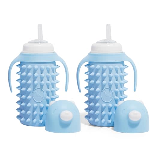 Tabor Place Set of 2 Glass Sippy Cup for toddlers/The Spikey Bear / 8oz / Strong glass/Protectitive silicone sleeve/Leakproof straw (Large)