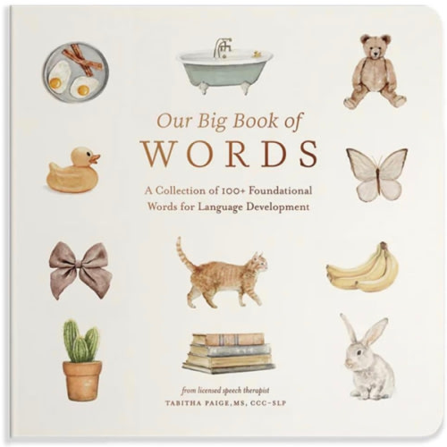 Our Big Book of First Words