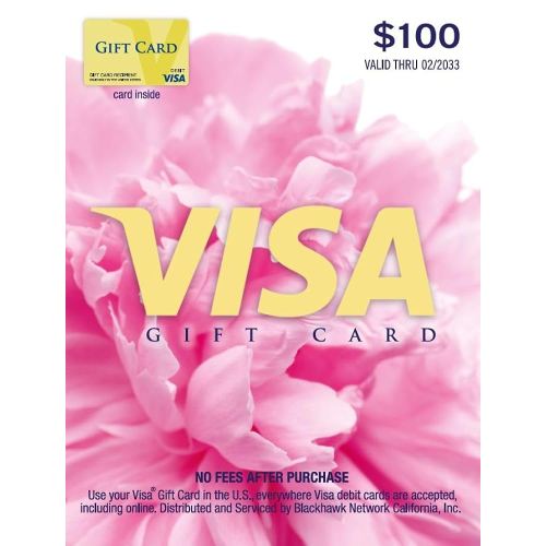 Visa Physical Gift Card $100 (plus $5.95 Purchase Fee)