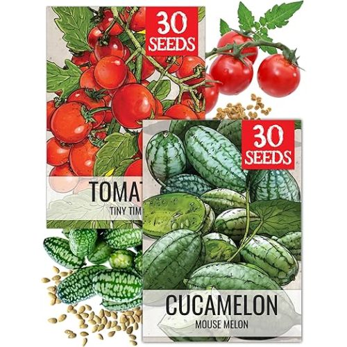 Seed Needs Vegetable Seeds for Planting Cucamelon & Tiny Tim Tomatoes - Non-GMO Heirloom & Untreated Veggie Seed to Plant an Outdoor Vegetable Garden (2 Packs)