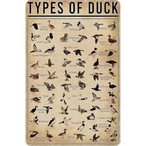Duck Gifts Types of Duck Vintage Tin Sign for Home Office Farmhouse Man Cave Hunting Room Classroom Wall Art Decor 8x12 Inch (3269)