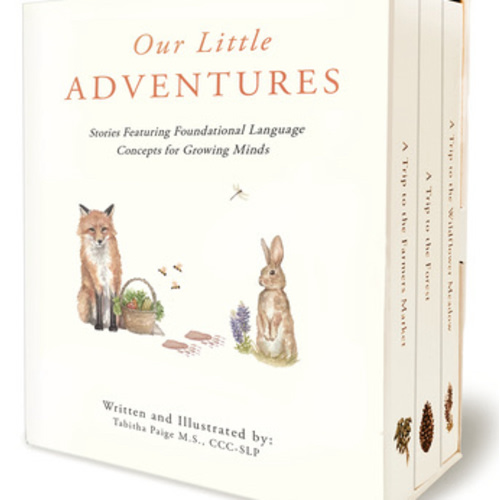 Our Little Adventures: Stories Featuring Foundational Language Concepts for Growing Minds, Tabitha Paige Children's Book Series
