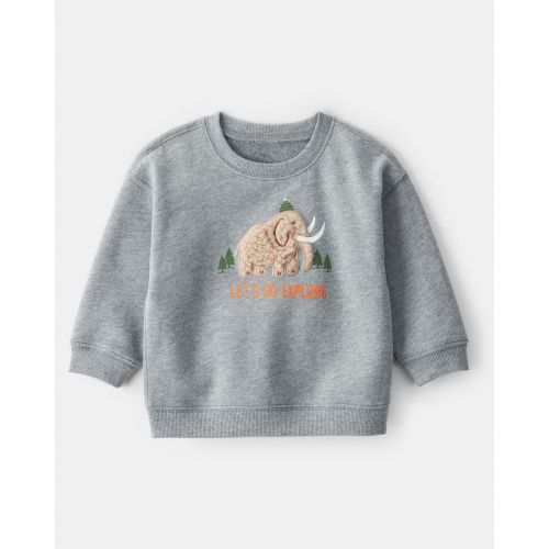 Baby Boy DayDream Fleece Mammoth Pullover Sweatshirt - Grey - Carter's | Carter's