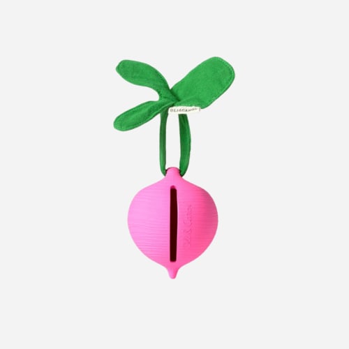 Ramona the Radish Pacifier Case