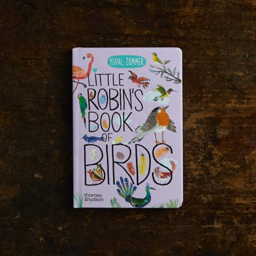 Yuval Zommer - Little Robin's Book of Birds – MamaOwl