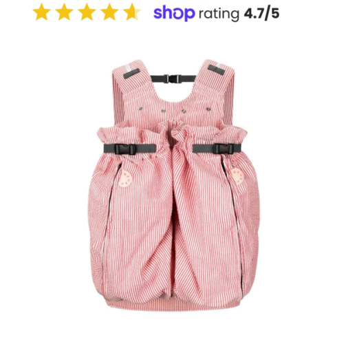 The Weego TWIN Baby Carrier