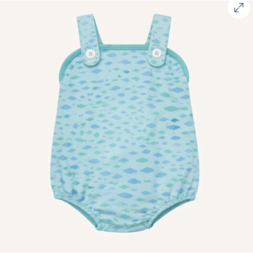 Bingham Bubble - Sarasota School of Fish with Turks Teal