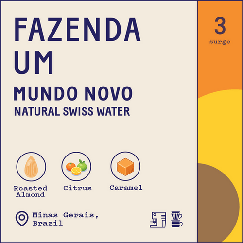 Brazil Fazenda Um Mundo Novo Natural Swiss Water Decaf