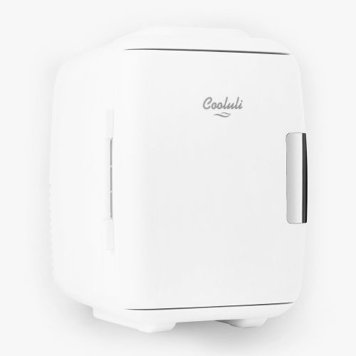 Classic 4-Liter Small Mini Fridge