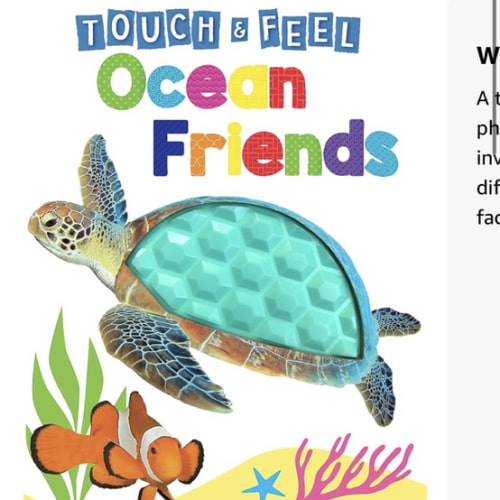 Ocean Friends - Touch and Feel Board Book - Sensory Board Book