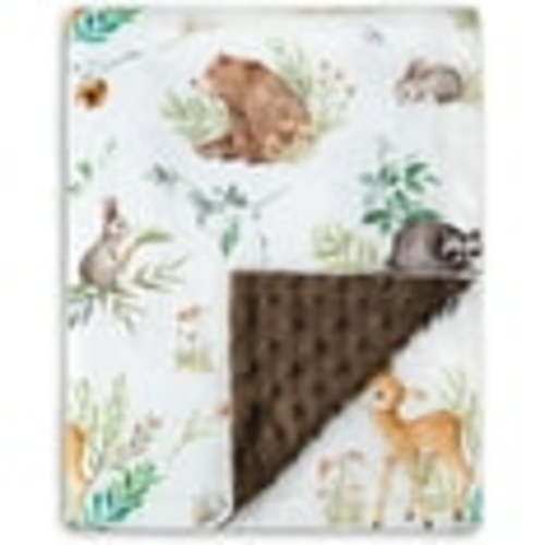 Baby Blanket for Boys Girls Soft Plush Minky Blanket with Double Layer Dotted Backing for Toddler Nursery with Woodland Animals Printed 30 x 40 Inch(75x100 cm)