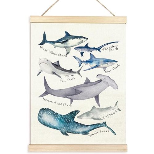 TAEDIN Watercolor Shark Ocean Animal Chart Poster Hanger Frame, Educational Shark Decor Wood Wooden Canvas Artwork Print, Sea Life Wall Painting for Home Bedroom Classroom Library Dorm Decor 12X16