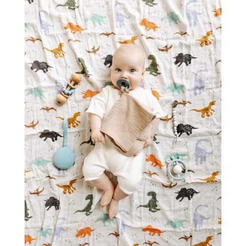 Organic Bamboo Muslin Swaddle Blanket - Dinosaur Print