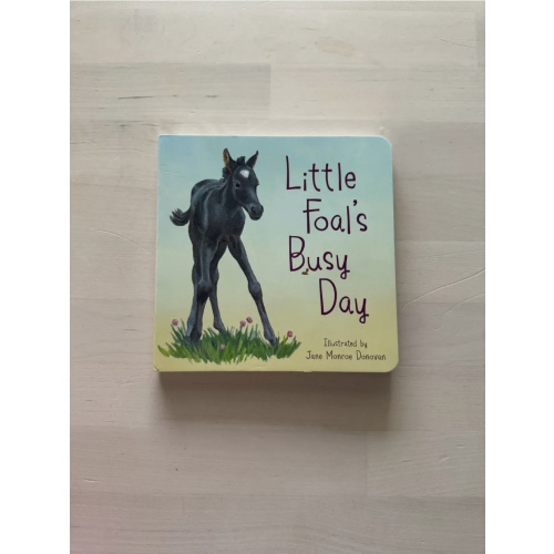 Little Foal's Busy Day – Bridle Up Hope Shop