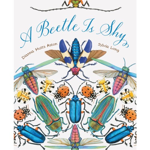 A Beetle Is Shy by Dianna Hutts Aston, (Paperback) | Indigo