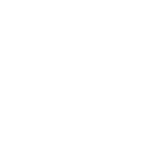 CARHARTT Girls 2-Piece Long Sleeve and Printed Overall Set - Arvada Army Navy Surplus