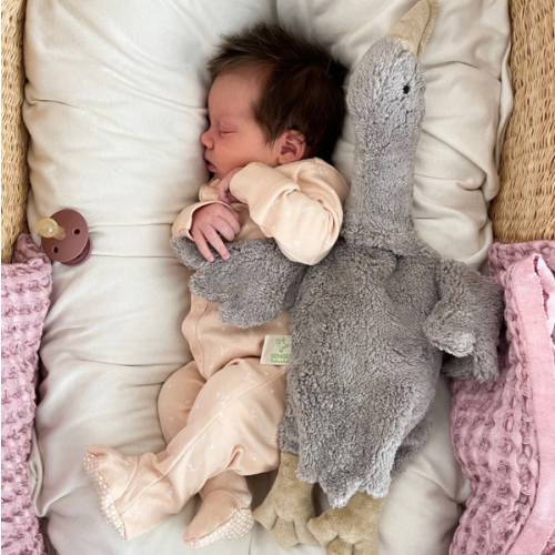 Organic Gray Goose Warming Pillow