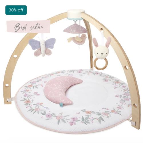 Baby Gym | Premium Baby Activity Gym | aden + anais