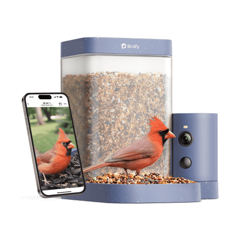 Birdfy Smart Bird Feeder with Camera, 60FPS Smooth Video, AI Bird Identification & Instant Alerts, Auto Capture, Perfect Gift for Bird Lovers