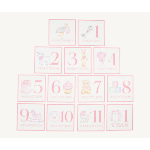 Sir Proper's Month Markers - Palm Beach Pink