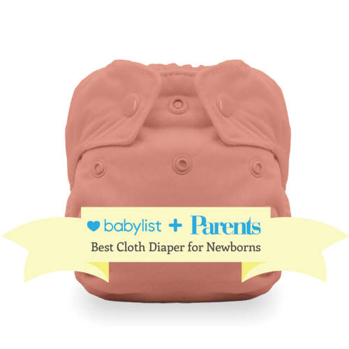 Best Rated Newborn All in One Cloth Diaper