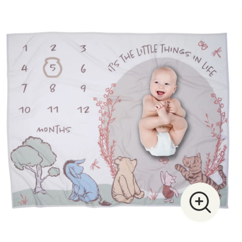 Pooh Bear & Pals Milestone Baby Blanket