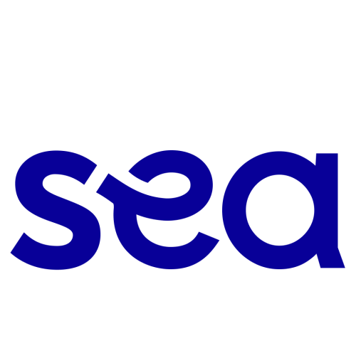 Blue Swaddle Sleep Sack – Swaddelini