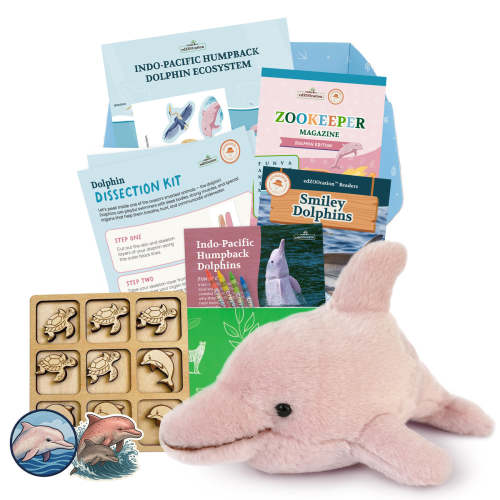 edZOOcation™ Subscription Box - The Best Wildlife Education for Kids