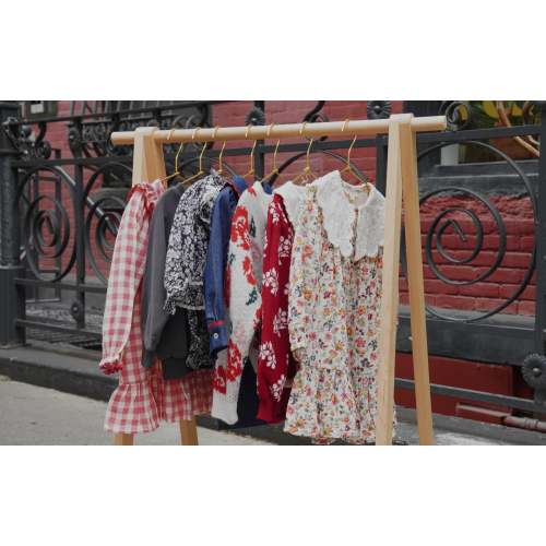 Monthly Milestone Card Set - Blue | Danrie