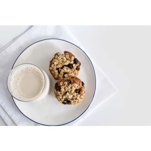 Oats & Raisin Lactation Breakfast Cookie | 21g Protein | Milk and Bloom