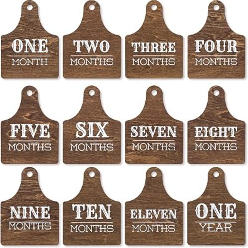 Baby Monthly Milestone Plaques, Wooden Photo Props, 1-11 Months and 1 Year, Double Sided, 4 Inch, Set of 12, Pink Bow Design (Cow)