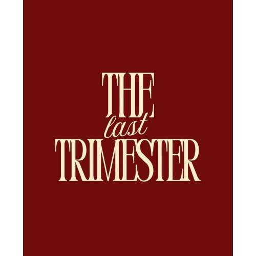 Labour TENS Hire | The Last Trimester