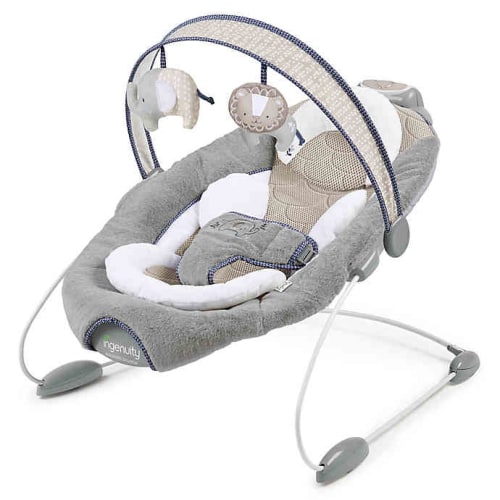 Ingenuity Townsend SmartBounce Automatic Bouncer