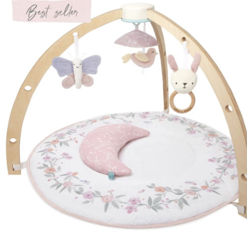 Baby Gym | Premium Baby Activity Gym | aden + anais