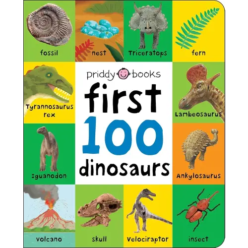 First 100 Dinosaurs: A padded book―perfect for little hands to hold
