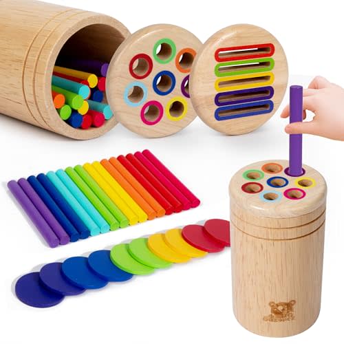 Wooden Learning Color Sorting Toys for Toddlers Sensory Sorting Coin Box Toys for Toddlers 1-3 Fine Motor Skills and Matching Games for Toddler Learning Toys