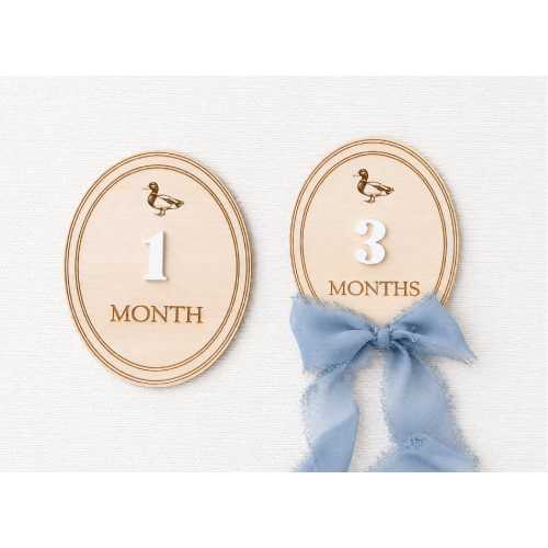 Duck Monthly Milestone Markers, Monthly Photo Sign, Mallard Milestone Discs, Baby Shower Gift, Baby Photo Props, Duck hunting monthly Photos