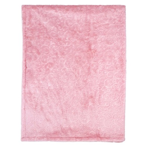 Red Barrel Studio® Baby Boys and Baby Girls Embossed Plush Minky Blanket | Wayfair