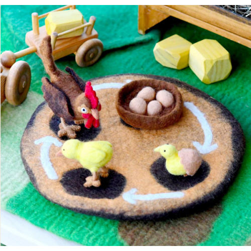 Life Cycle of a Chook Felt Toys