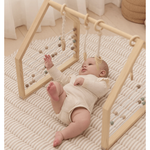 Wooden Play Gym Set