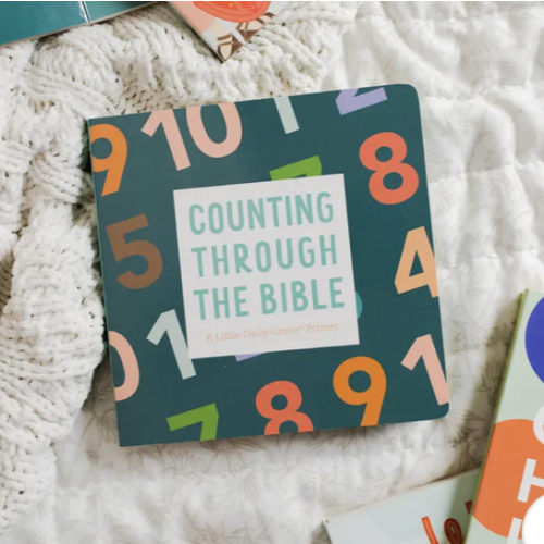 Counting Through the Bible Board Book