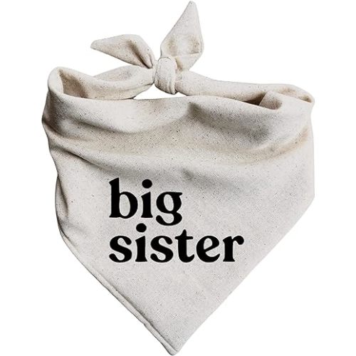 Dog Bandana Pregnancy Announcement Big Sister Baby Reveal, Small