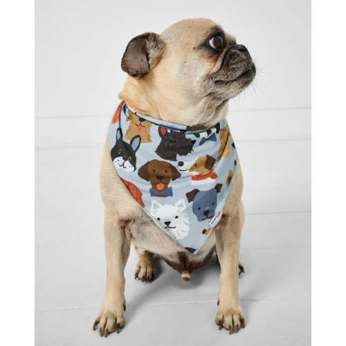 Gray Puppy Parade Pet Bandana – Little Sleepies
